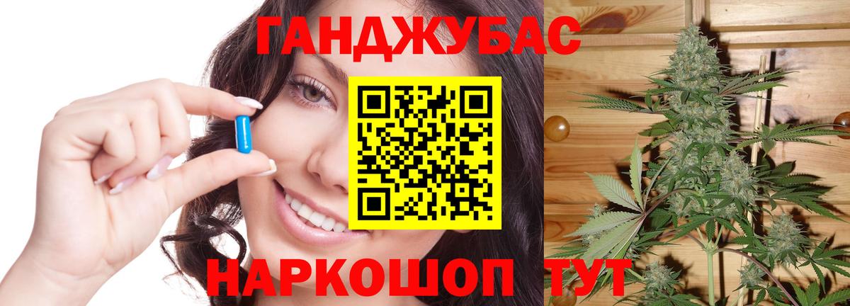 Бошки Шишки планчик Лабытнанги